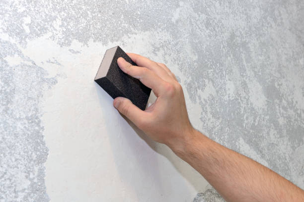 Best Attic Mold Removal  in Benwood, WV