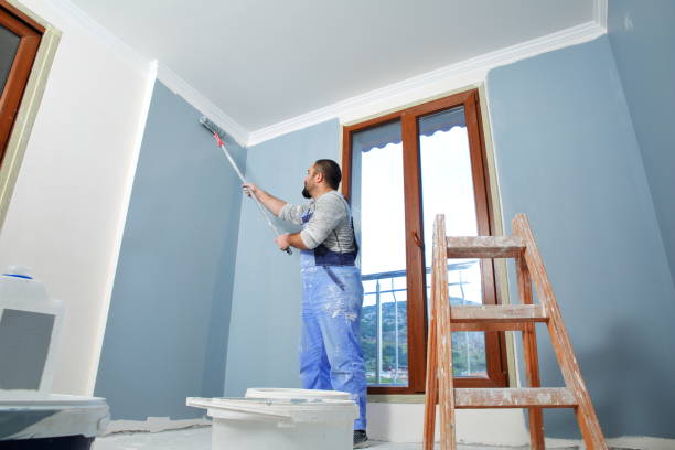 Best Real Estate Mold Inspection  in Benwood, WV