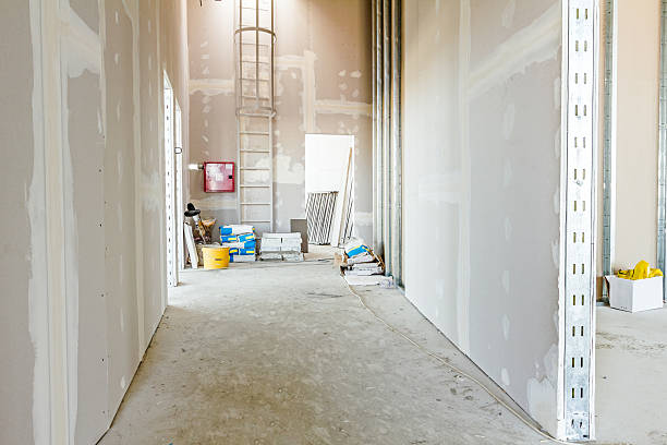 Best Comprehensive Air Testing for Mold Contaminants  in Benwood, WV